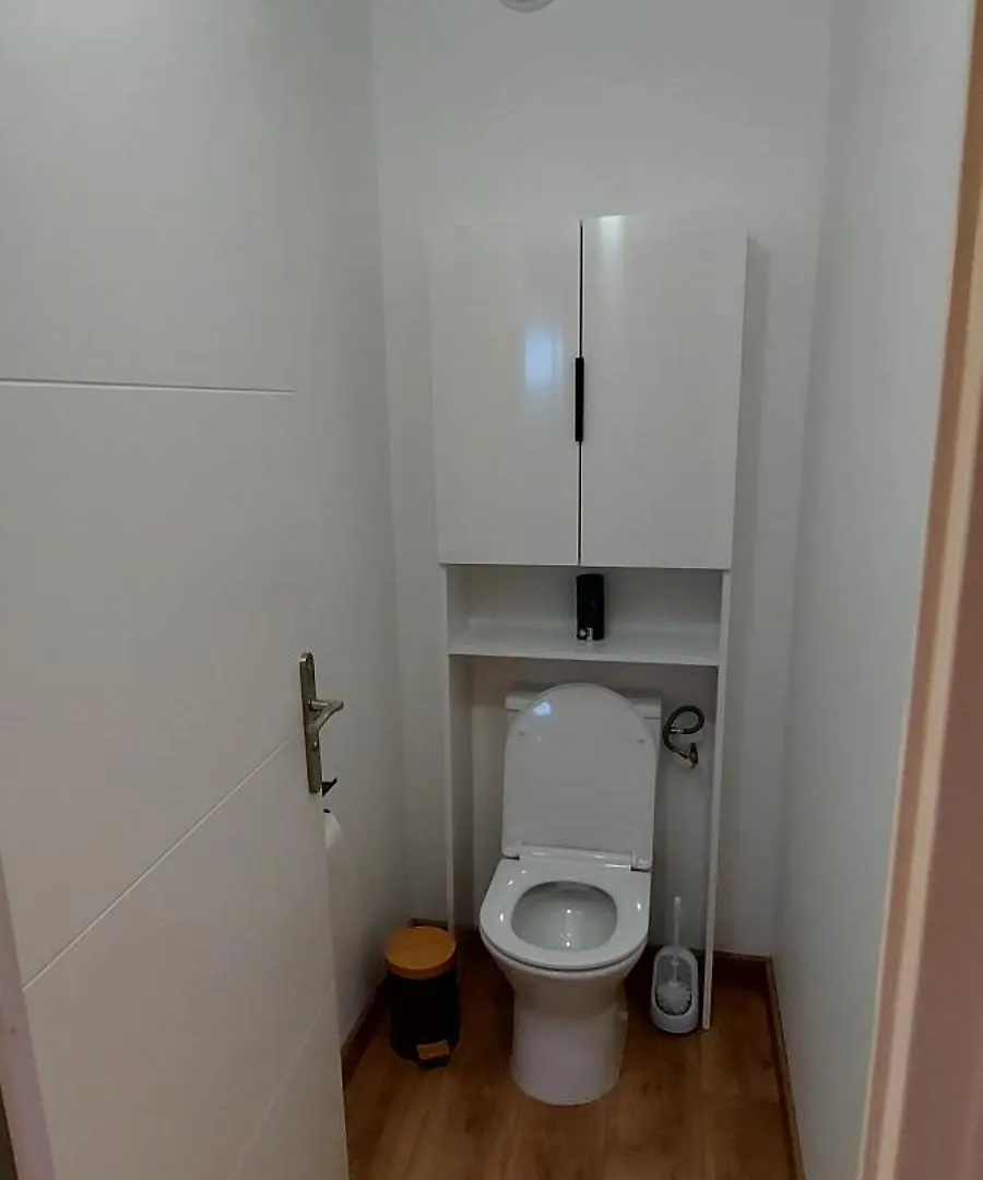 Nouvel Appartement A 10Mn A Pied Du Centre-Ville Αλμπί